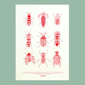 Fluorescent riso illustration of insects and flowers Hybrids