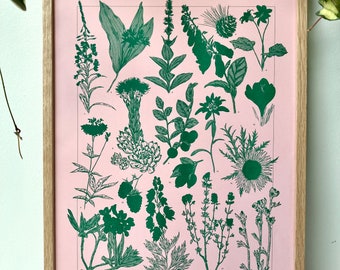 Mountain Plants illustration poster in green & pink risography