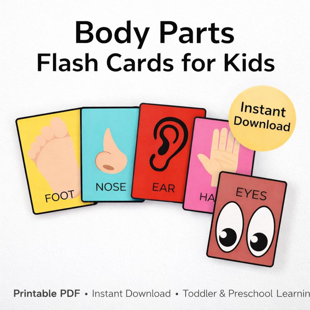 Body Parts Flash Cards | Visual Learning for Toddlers (printable PDF ...