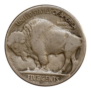 1923 S Buffalo Nickel - Fine - 1/2 Horn