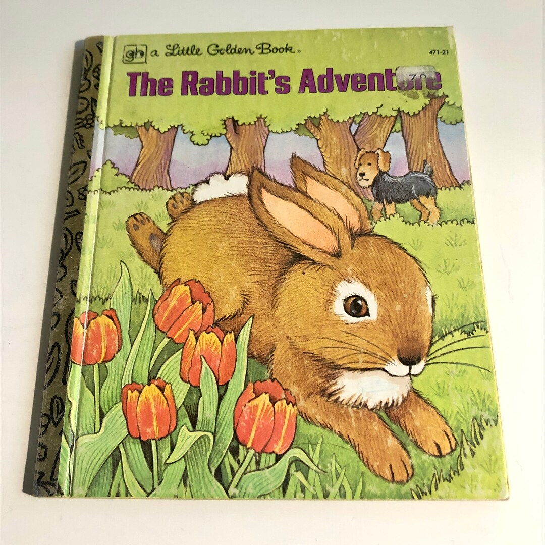 The Rabbit's Adventure, Vintage Golden Books, Vintage Little Golden ...