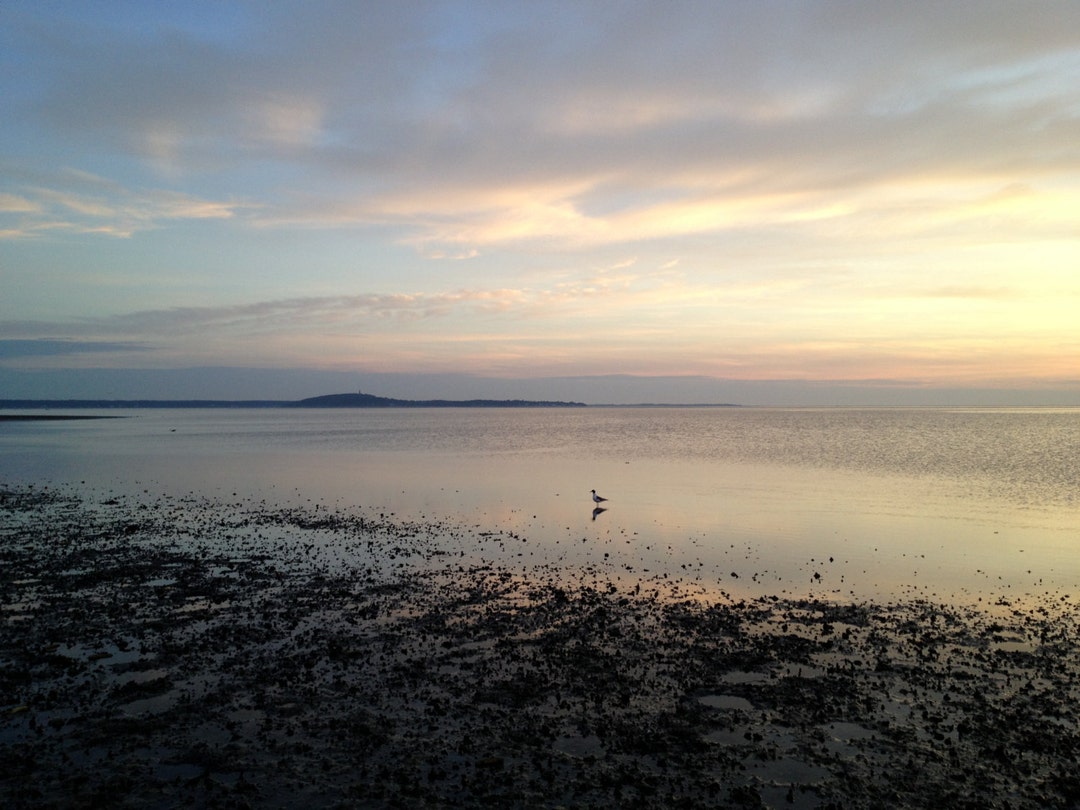 Le 7 juillet, hors Warrens Cove regardant vers Long Beach à Plymouth