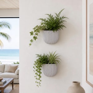 May include: Two semi-circular, light gray wall planters with a vertical ribbed texture. Each planter holds a variety of green foliage, including ferns, trailing ivy, and a spider plant, mounted vertically on a plain white interior wall.