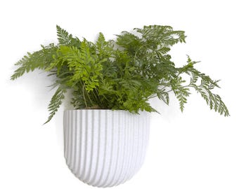 Shell Wall Planter: Ribbed PLA Indoor Plant Holder, Seashell Inspired Design
