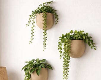 Wall Planters: Biophilic Pebble Decor, Set of 3
