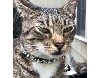 diamond studded cat collar