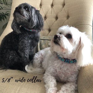 May include: Two dogs wearing decorative collars with turquoise and red accents. The collars are 1.6 cm wide. One dog is black, the other is white. They are sitting on a beige upholstered chair.