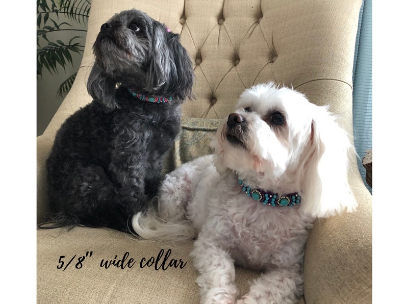 May include: Two dogs wearing decorative collars with turquoise and red accents. The collars are 1.6 cm wide. One dog is black, the other is white. They are sitting on a beige upholstered chair.