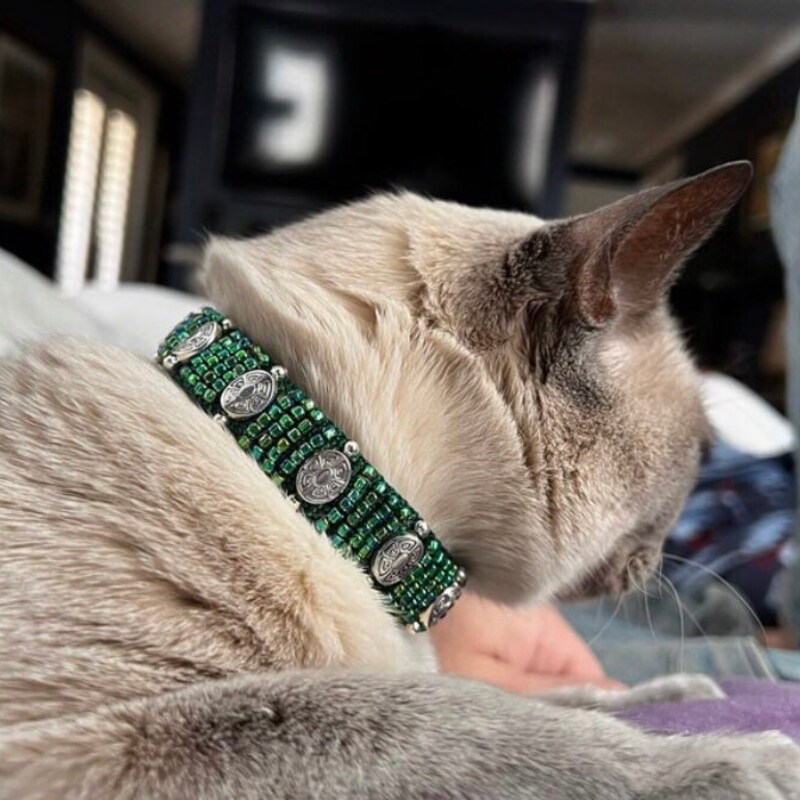 Custom Cat Collar Etsy — free download