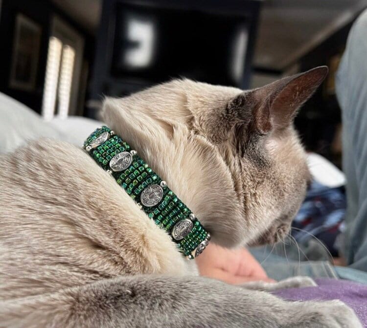 Male Cat Collar Etsy UK