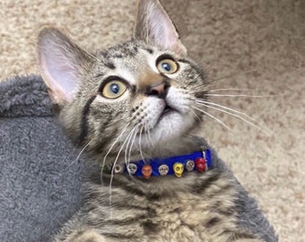 Collare per gatti con teschio, collare per gatti con teschio, collare per gatti con scheletro, collare per gatti di Halloween, collare per animali con teschio