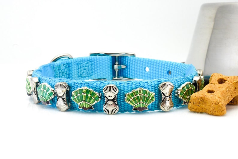 Beach Theme Collar Dog Collar Turquoise Nylon Collar Beach Dog Collar Shell Pet Collar Sea Shell Dog Collar Bright Blue Collar 14
