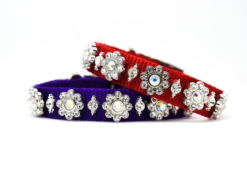 girl dog collars with rhinestones