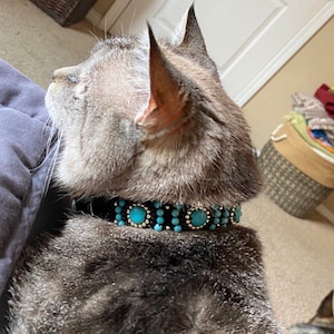 Custom Designer Cat Collar, Fancy Beaded Cat Collar, Pet Collar with Turquoise Howlite Beads, Semiprecious Stone Collar for Cat, Healing Cat image 6