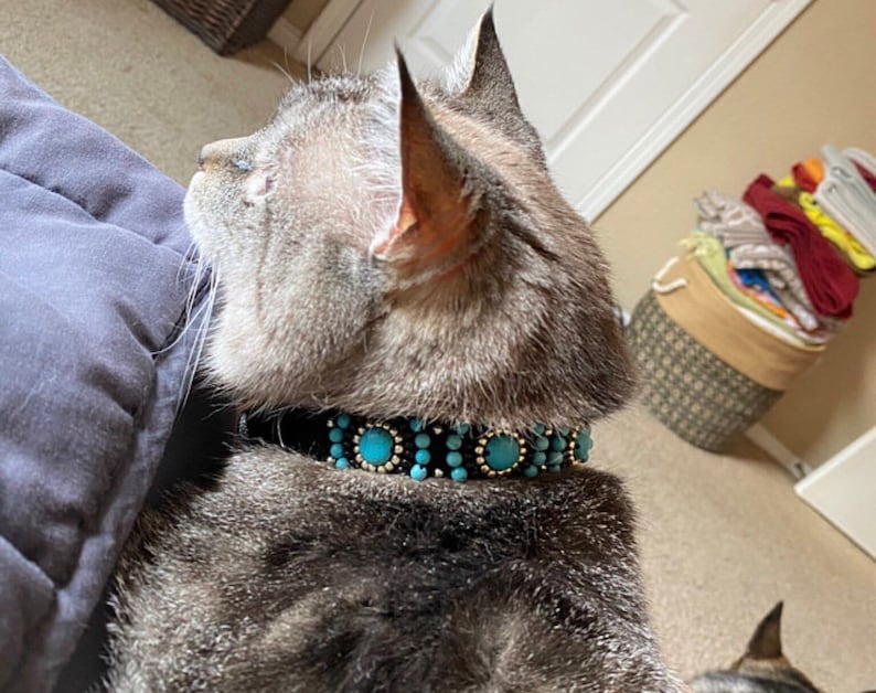 Custom Designer Cat Collar, Fancy Beaded Cat Collar, Pet Collar with Turquoise Howlite Beads, Semiprecious Stone Collar for Cat, Healing Cat image 6