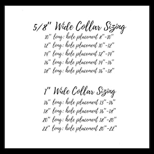 May include: Black and white image with text detailing collar sizing. The text includes measurements for 5/8" and 1" wide collars, specifying lengths from 25.4 cm to 55.88 cm and corresponding hole placement ranges in inches. The text is in a cursive font.