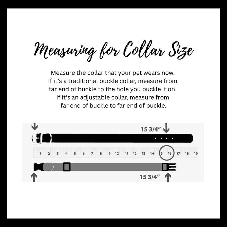 May include: Diagram showing how to measure a pet's collar size. The image displays two collars, one with a buckle and one adjustable, with measurements of 40 cm. Text explains measuring from buckle to hole or buckle to buckle.