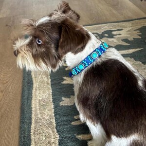 May include: A dog with brown and white fur wearing a blue beaded collar with turquoise embellishments. The collar is the main focus, with detailed beadwork. The dog is sitting on a patterned rug.