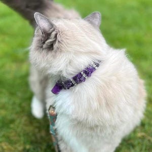 Healing Cat Collar, Hand Beaded Cat Collars, Pet Collar with Amethyst, Precious Stone Cat Collar, Purple Amethyst Gem Kitty Collar,