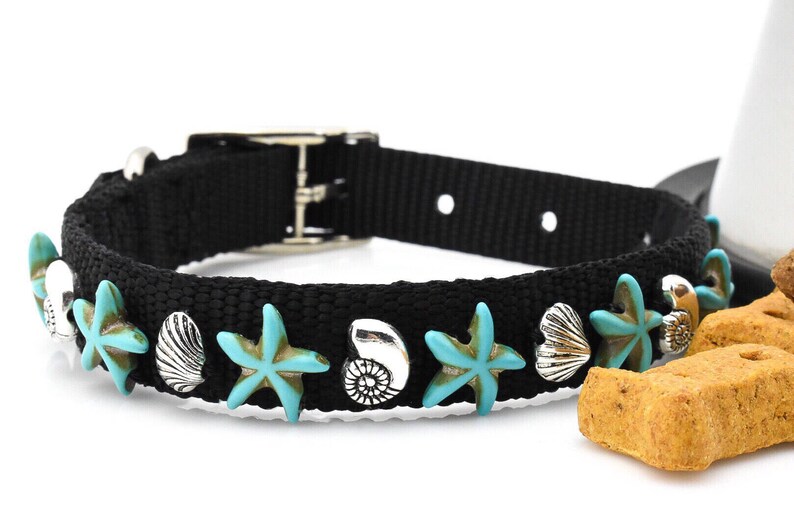 Starfish Dog Collar Beach Theme Collar for Girl Dog Unique Etsy UK