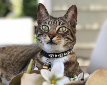 Swarovski Crystal Cat Collar, Rhinestone Kitten Collar, Bling Cat Collar, Fancy Beaded Cat Collar, Diamond Cat Collar