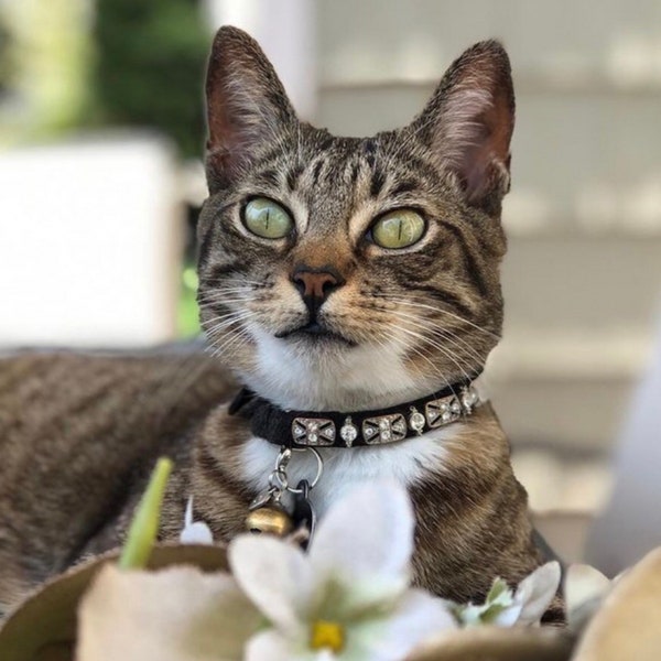 Swarovski Crystal kattenhalsband, strass kittenhalsband, bling kattenhalsband, fancy kralen kattenhalsband, diamanten kattenhalsband