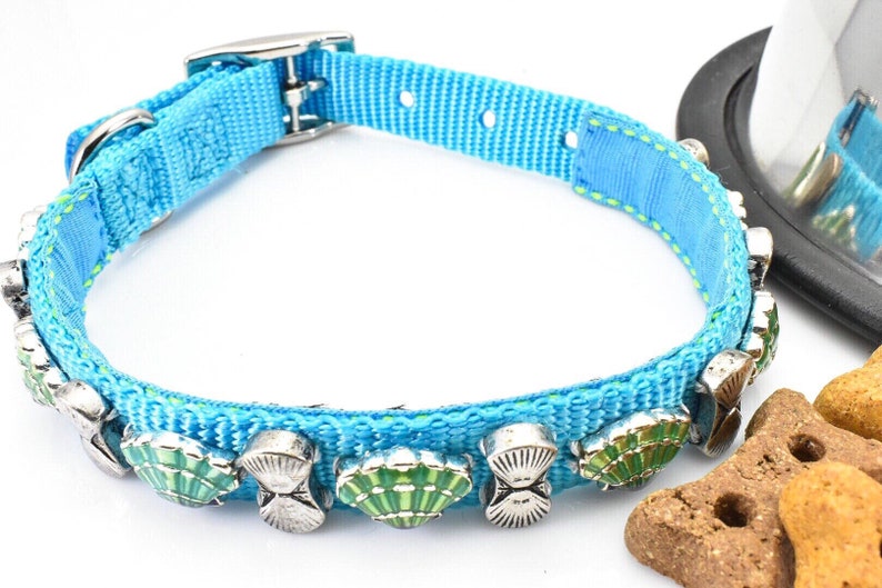 Beach Theme Collar Dog Collar Turquoise Nylon Collar Beach Dog Collar Shell Pet Collar Sea Shell Dog Collar Bright Blue Collar 14