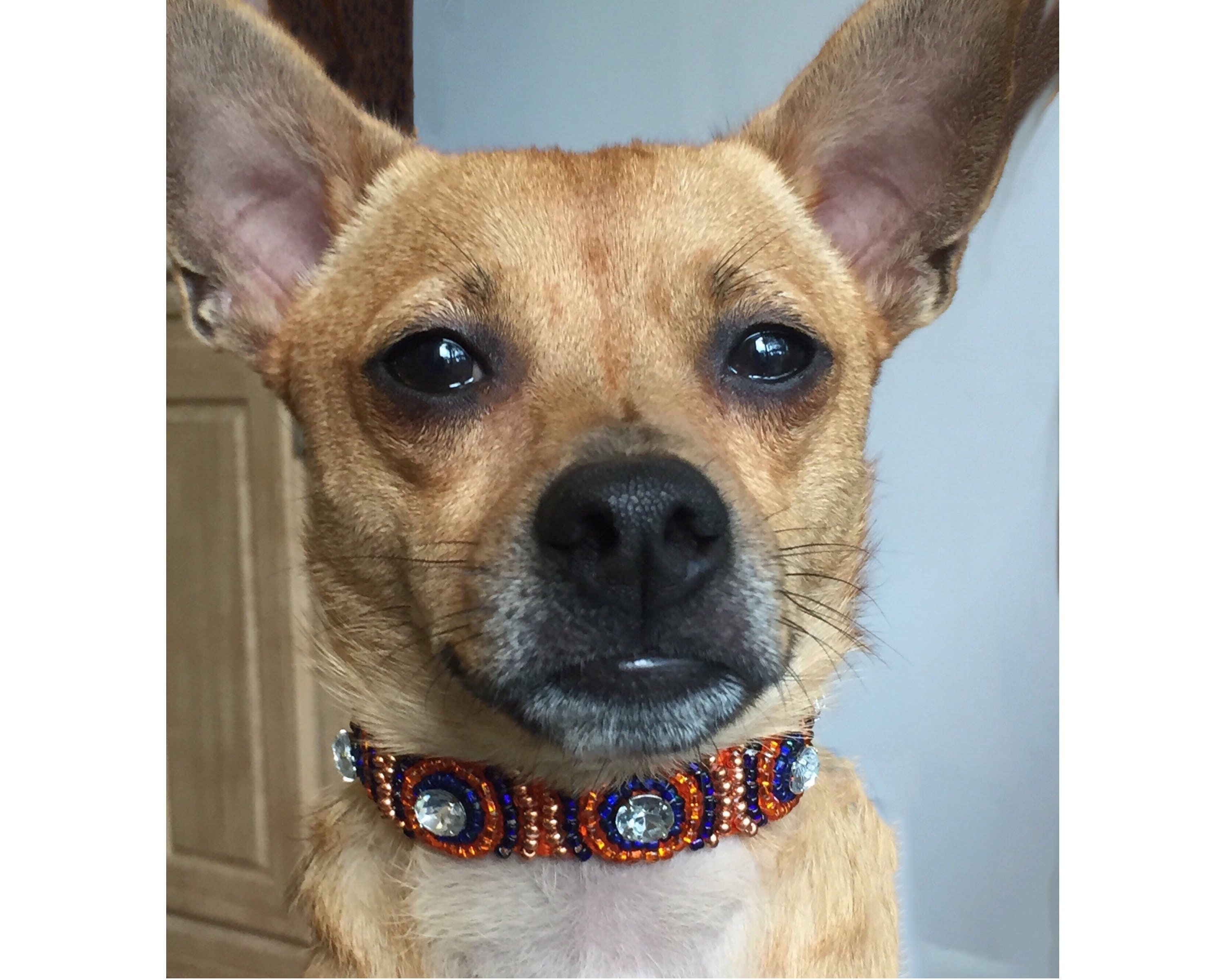 hand beaded dog collars