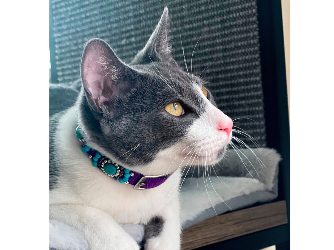 Custom Designer Cat Collar Fancy Beaded Cat Collar Pet Etsy