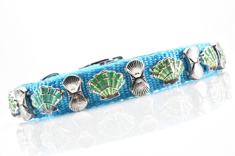 Beach Theme Collar Dog Collar Turquoise Nylon Collar Beach Dog Collar Shell Pet Collar Sea Shell Dog Collar Bright Blue Collar 14