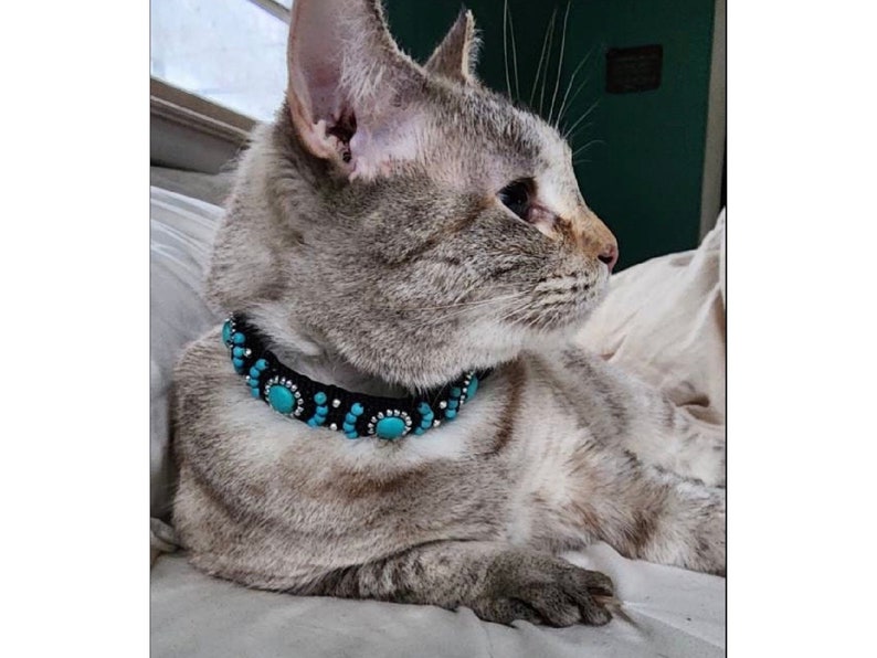 Custom Designer Cat Collar, Fancy Beaded Cat Collar, Pet Collar with Turquoise Howlite Beads, Semiprecious Stone Collar for Cat, Healing Cat image 7