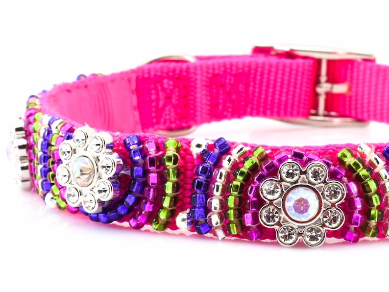 Bling Dog Collar Colorful Spring Dog Collar Exclusive Dog Collar Bling Dog Collar Girly Dog Collar Designer Dog Collar