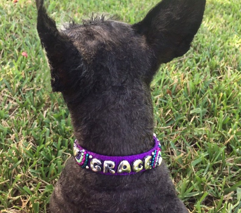 Customized Dog Collar Personalized Dog Collar Fancy Dog Etsy