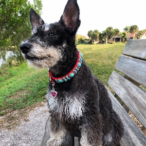 May include: A black and grey dog wearing a red collar decorated with turquoise and red beads. The dog has a silver heart-shaped tag that says "Grace". The dog is sitting on a wooden bench.