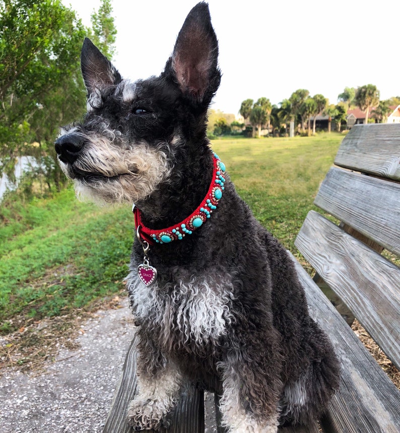 May include: A black and grey dog wearing a red collar decorated with turquoise and red beads. The dog has a silver heart-shaped tag that says "Grace". The dog is sitting on a wooden bench.
