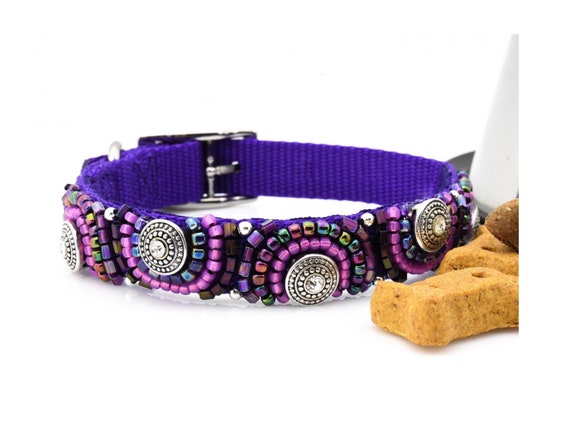 Fancy female sale dog collars
