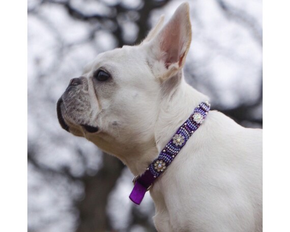 Custom bling cheap dog collars