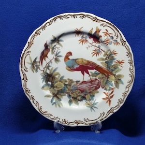 May include: White decorative plate with a detailed bird and floral design. The plate features a pheasant with red, blue, and yellow plumage, surrounded by foliage. The rim has a brown, ornate border. The plate is displayed on a clear stand.