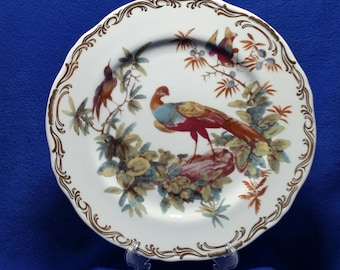 Vintage Exotic Birds Dinner Plate / Pattern B / Andrea by Sadek / Smithsonian Institution / Pre-Owned / Bird Dinnerware
