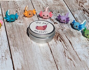 My pet axolotl. Cute little pet axolotl. Pocket pet in tin. Available in a choice of 7 different colours!