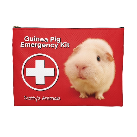 Guinea Pig Exotic Pet Emergency Emergency Care Emergency Vet