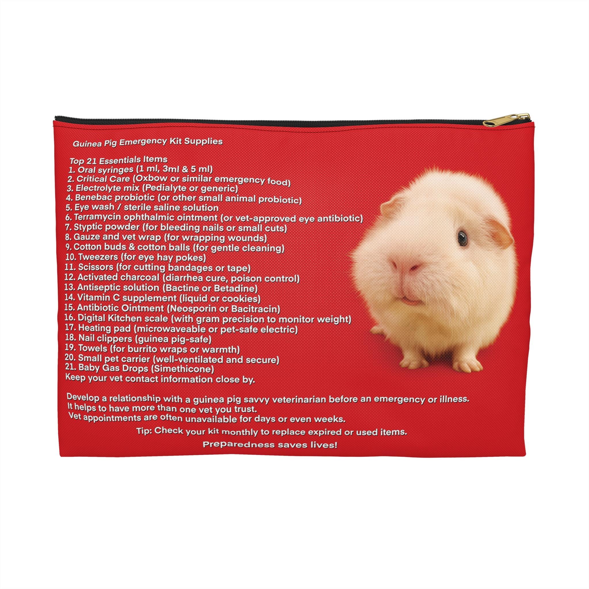 Animal Rescue Guinea Pig Preloved ScottysAnimals