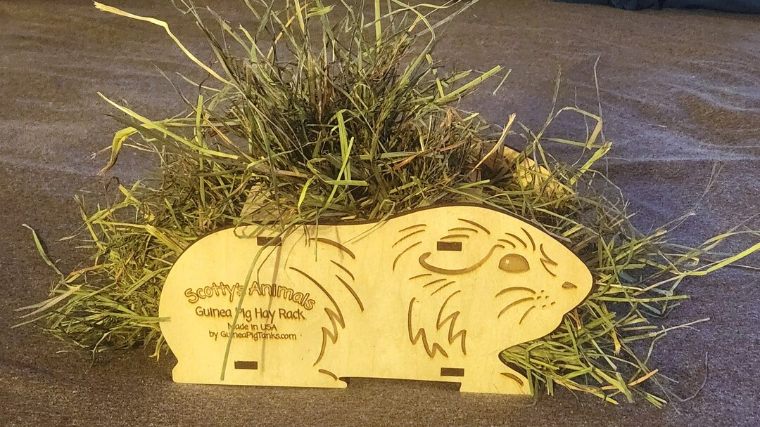 Scotty's Animals Guinea Pig Hay Rack - Etsy
