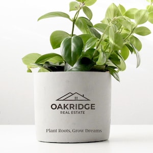 May include: A small potted plant with vibrant green leaves. The plant is in a cylindrical, light gray concrete pot. The pot has the Oakridge Real Estate logo and the text "Plant Roots, Grow Dreams". The background is white.