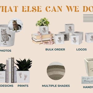 The image is a collage of various items, including a cat mug, potted plants, books, and other decorative objects.