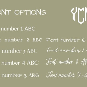 the font and numbers for font options