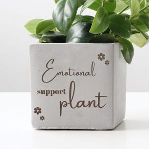 Funny Engraved Planter Pot Plant Mom Gifts | Plant Lover Gifts | Friends Birthday Gifts | Plant Lady Gifts | Plant Aunt Gift