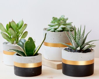 Cylinder Concrete Planter Succulent Pot