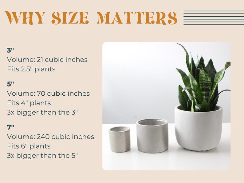 three different-sized planters, each with varying volumes and plant types, illustrating the importance of size when it comes to plant care and arrangement.