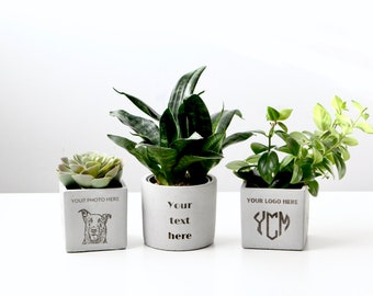 Laser Engraved Personalized Concrete Planter Pot | Custom Photo Logo Gift